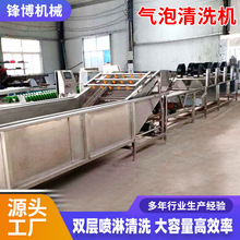 果蔬气泡清洗机预制菜清洗加工设备大型全自动叶菜类气泡清洗机