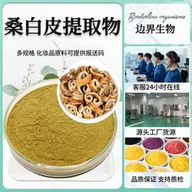 桑白皮提取物 喷雾干燥 水溶性桑白皮提取 桑白皮破壁粉现货1kg起