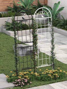 �@ˇ���ټ��Nޱ�¼��Nֲ���@�řڑ��⻨��֧�κ��s�Fˇֲ��������