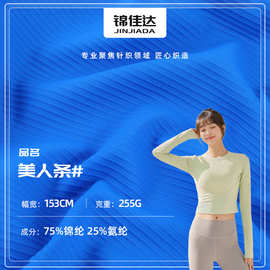255g美人条锦氨罗纹坑条布料 加厚双面高弹楼梯布 运动瑜伽面料