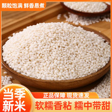 ��؛�r��Ŵ�׺����SС��޲�׸��������r�ּZ�G���S���t������s�Z