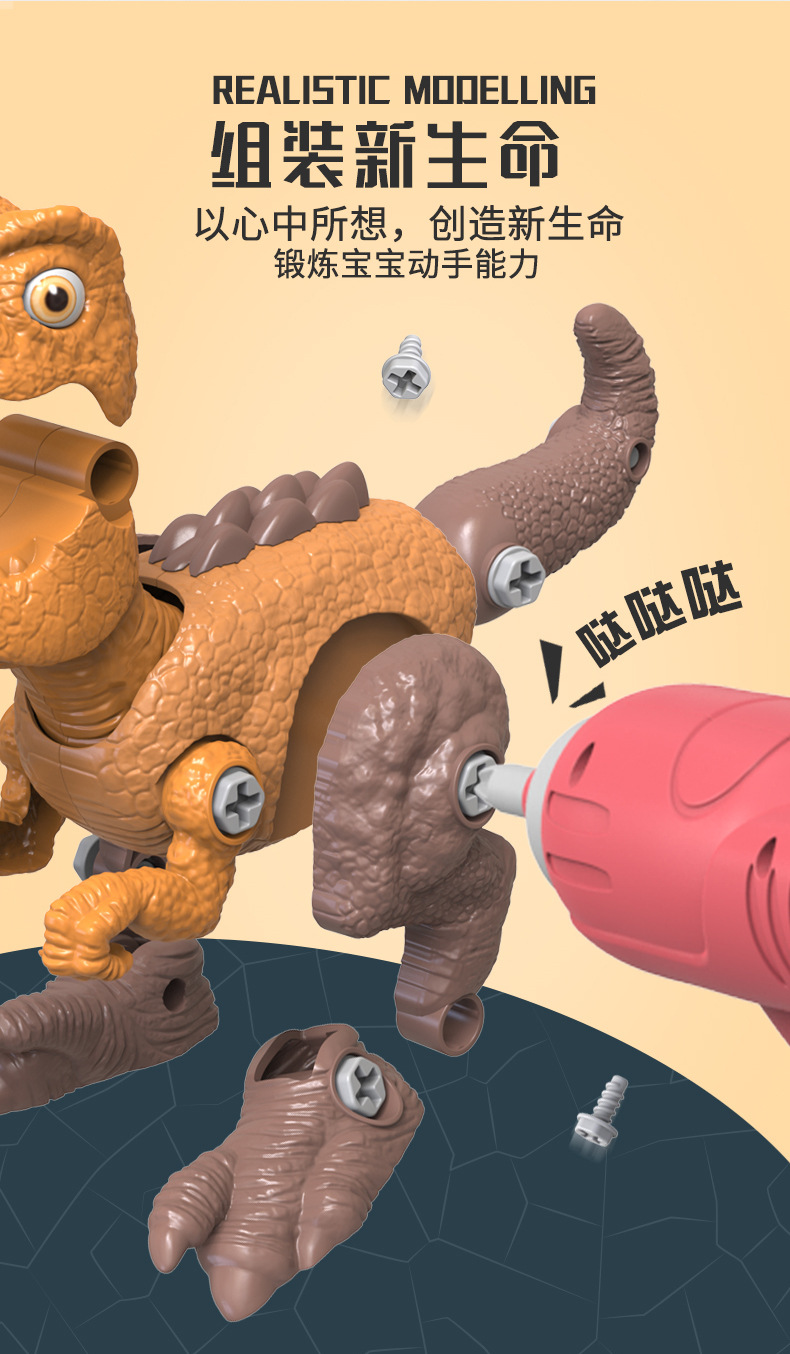 恐龙详情中文_09