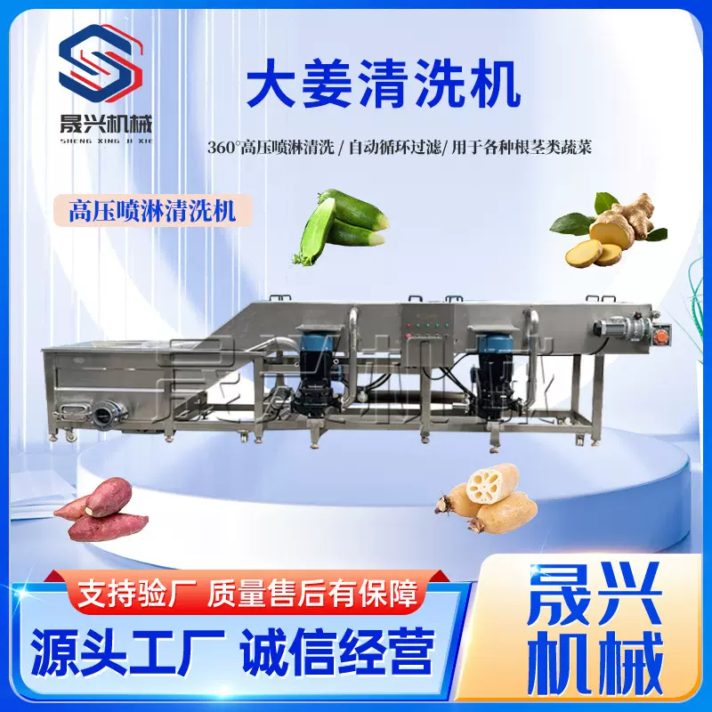 连续式去泥沙洗姜机中药材高压清洗设备流水线全自动生姜清洗机