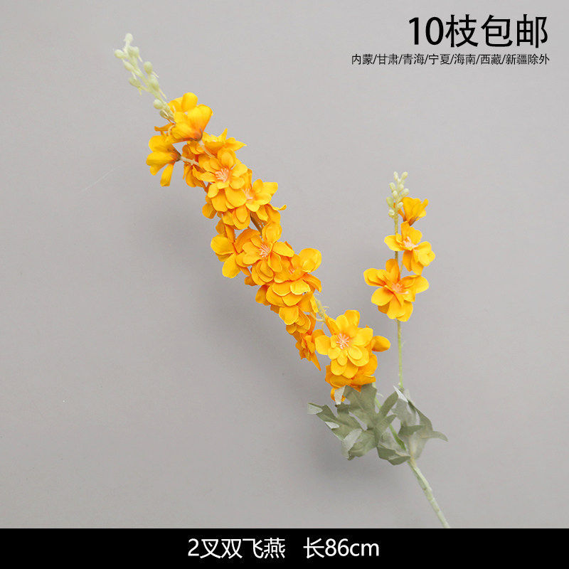 五头菊花-黄色 桔黄