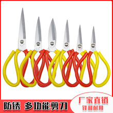 �������l�僷��P���� ���IƤ���������ü����N���������Ѽ���