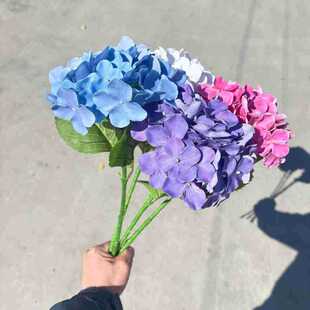 �¿����Q3D�ָн���54Ƭ�ʺ网�� ���ɫ��Yܛ�b�ٻ����l
