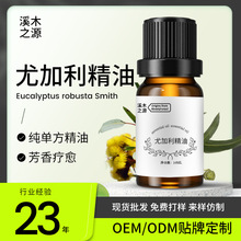 天然植物精油芳疗级蓝胶尤加利香薰精油畅呼吸净化空气桉叶油厂家