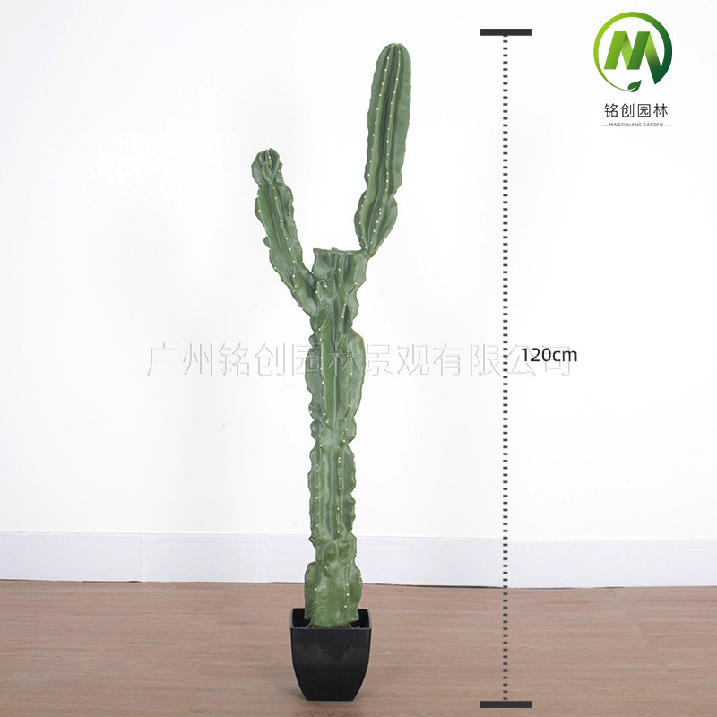 Decoración de paisajismo de plantas falsas en el desierto tropical image 10