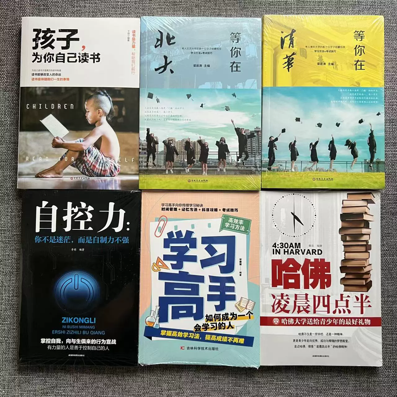 Книга (Douyin) Понимание человеком природы и умение говорить хорошо — коллекция бестселлеров, 500+ названий