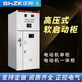 中高压固态软启动柜3KV6KV10KV起动电机水阻液阻660、690、1140V