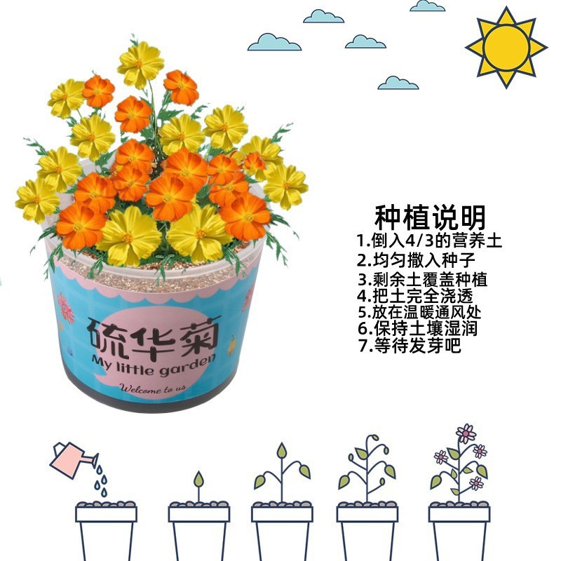科学実験セット機器子供教育技術少量生産物理学発明DIY手作り材料小学生向け|undefined