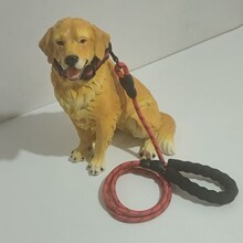 宠物牵引绳反光绳 狗绳两件套脖套法斗柯基马犬边牧犬用 夜行牵绳