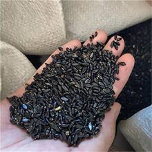 �����S��N�� �S��ľ��N��С�~�S���� �����ձ��������׶���N��