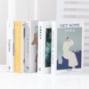 Instagram style (3) as shown in Figure 5