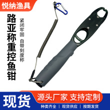 ·���Q�ؿ��~�Q�����Ʒ���Q�X�Ͻ�·���Q�O��������Q�ؿ��~��