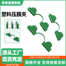 ���ω�Ĥ�A  С���ﱡĤ�A�p�^����������ꖾW�����w�S�U�������l