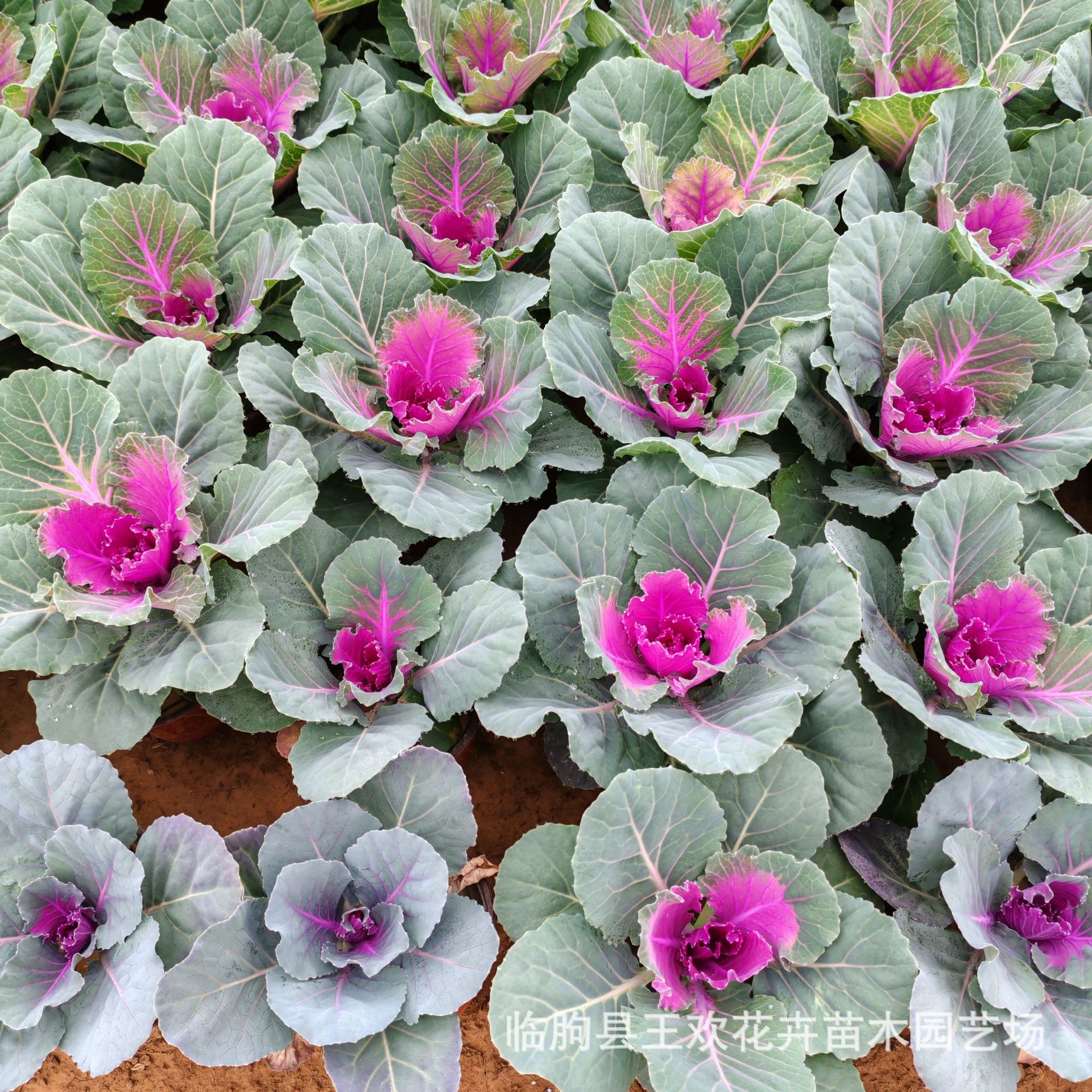 ffa93061-b3f3-4b08-ab8d-0c1086