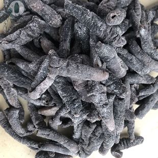 ���l�х��z�х�ƤȥƤȥ��������Ӆ����ӸɃ���ʳ�ӹ����Ʒԭ��