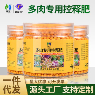 Special Fertilizer for Succulents, Slow-Release Fertilizer for Plants, Long-Lasting Household Flower Cultivation, Balcony Gardening, Flowers and Green Plants, Universal