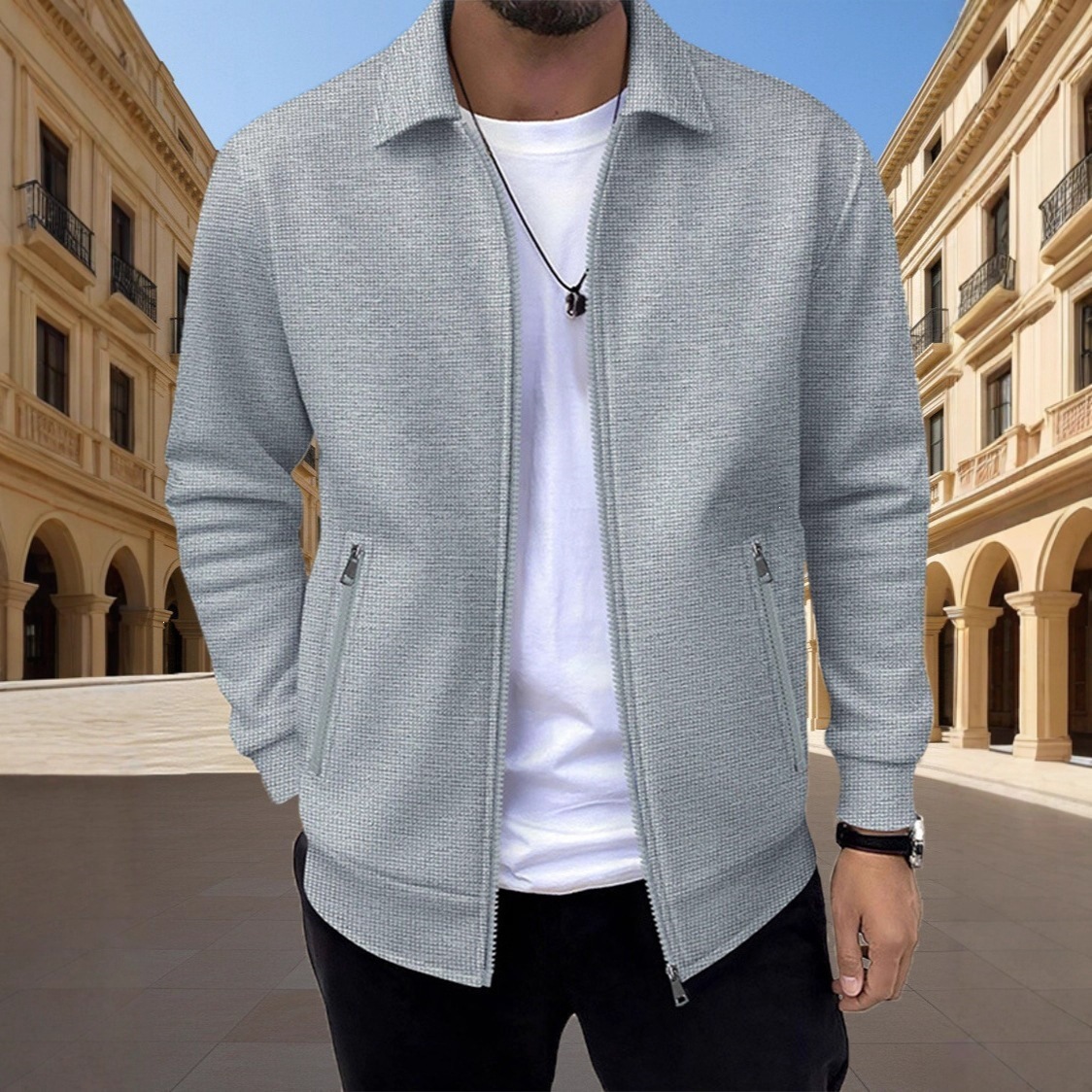men's demi-season solid color cardigan with zipper for leisure