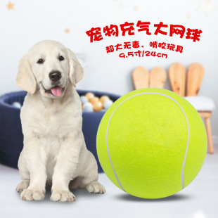 �W����ӡˢlogo�����ҧ���9.5�������ˣ�W��24cm����W��