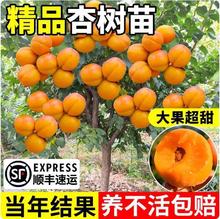 �Ә����ش�����������������Ϸ������Nֲ���Ե��Թ����箔��Y��