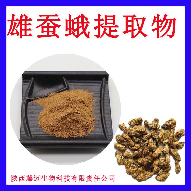 雄蚕蛾提取物10:1支持一件代发雄蚕蛾粉末现货雄蚕蛾蛋白粉