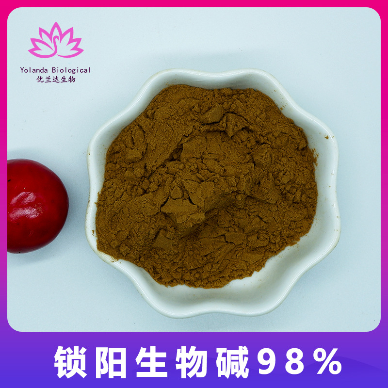 锁阳生物碱98% 锁阳提取物 食品级原料 水溶性锁阳提取物现货包邮