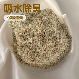 栽培基质;造景石;其他非金属