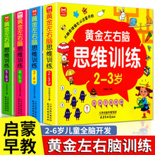 4册黄金左右脑思维训练2-6岁儿童黄金期智力开发左右脑专注+杨