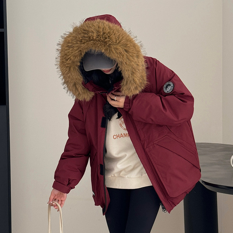 앙고라 레드
