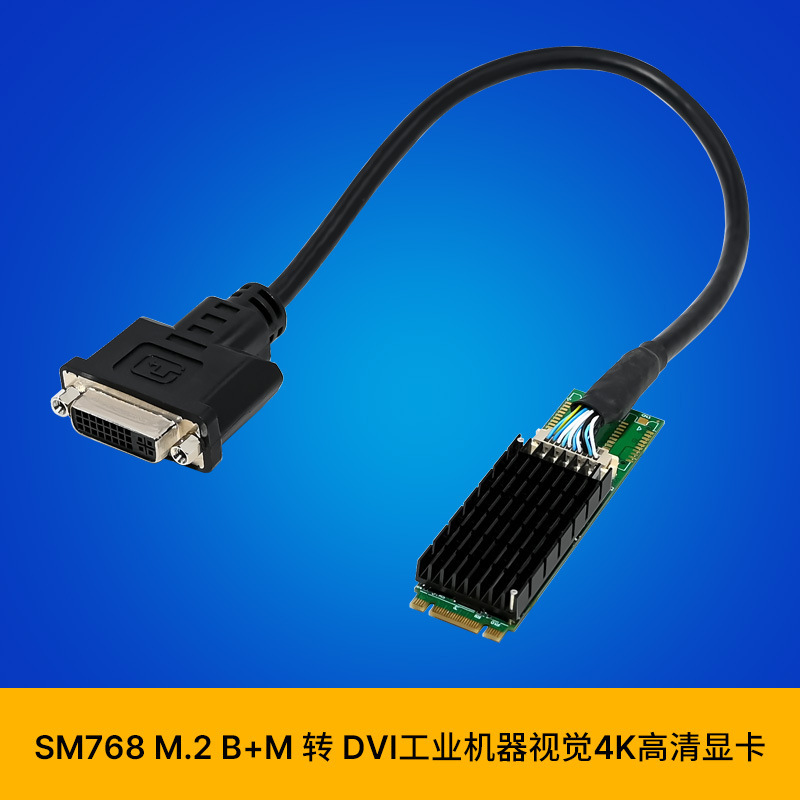 Sunweit St420 M.2 B+M Sm768 2K Dvi Industrial-Grade Embedded Gpu Server Graphics Card