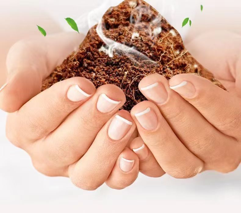 05c476fc-4ad4-42b2-ac27-2ed4d92ff0d8.jpe