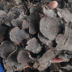 Yunnan Black Truffle Slices, Wild Mushroom & Boar-Harvested Truffles—Premium Dried Truffles, Fresh Selections Available for Wholesale and Drop Shipping