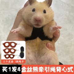 ゴールデンベア牽引ロープベストスタイルハムスター散歩用、ハムスター専用服、お出かけ用ペット用品