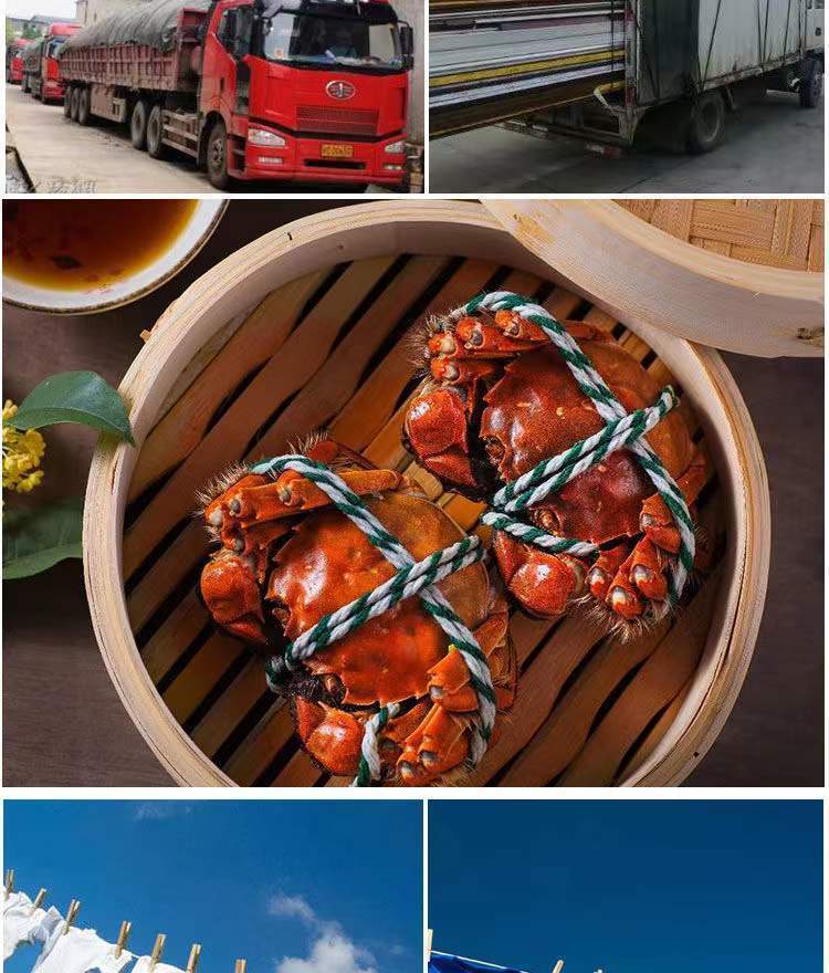 2724dfbe-0e8d-49b4-ac37-94195ed104dc.jpe