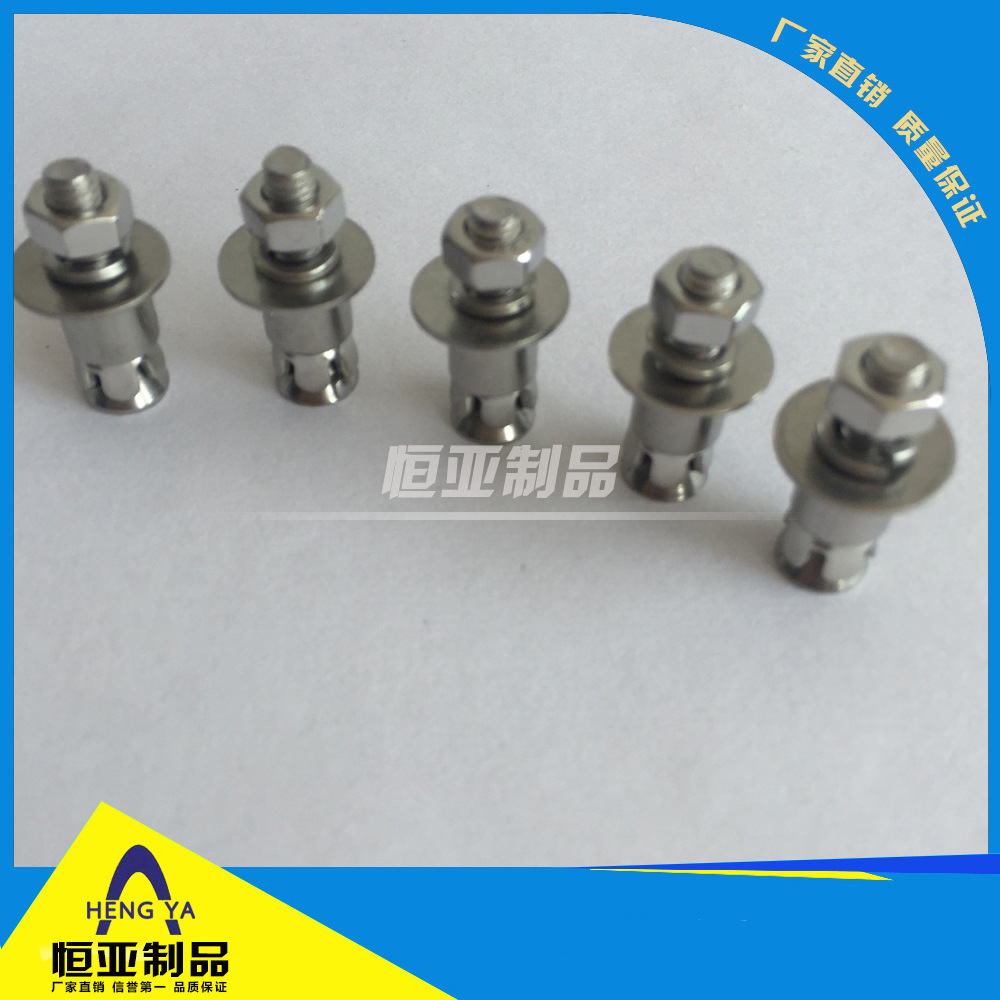 厂家供应不锈钢背栓螺丝敲击式背栓花网式背栓大理石陶瓷干挂石材