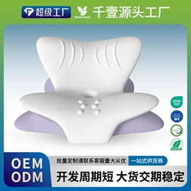 记忆枕;功能枕;坐垫椅垫