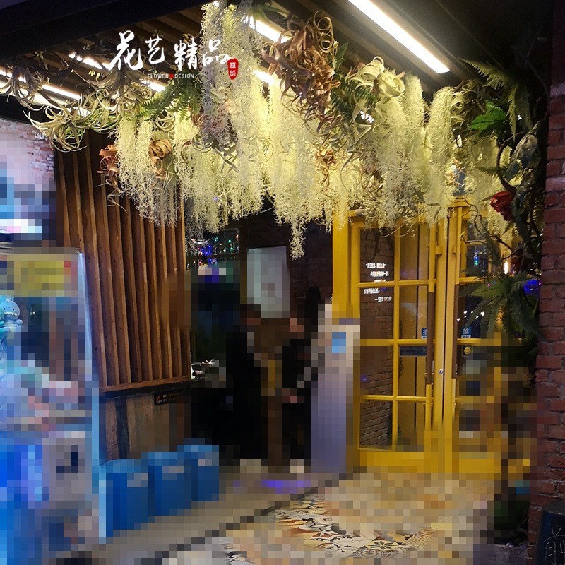 鹿角草空气草壁挂 米子藤爬山虎藤 新莲花假绿植墙面田园吊顶单只