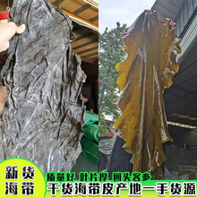 ����Ƭ�oɳ��؛��Ƭɽ�|����Ƥɢ�b�}�n���l�ܽ����[��������؛