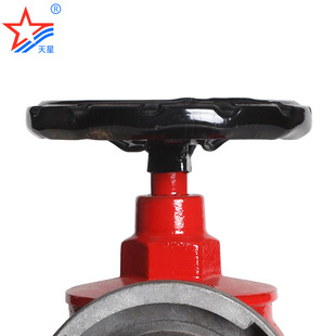 �������l SNW65-I�͜p����������˨ SN65�҃�����˨ �������