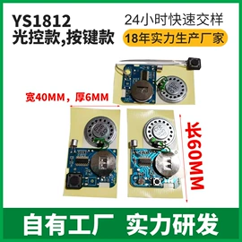 玩具配件;集成电路;电子模块