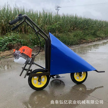 ����С�������ո�C�޻��󶹸�U�C֥�������C�������U���C