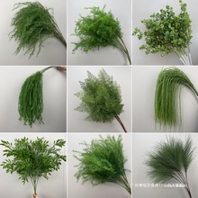 ������c�廨�J���ݻ��Ļ��ٻ�������ˇ��픷���Gֲ��Y���þG�~