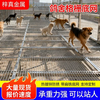 热镀锌钢格板信鸽鸽棚地网电厂平台不锈钢网格板漏粪鸟舍钢格栅