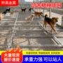 漏粪信鸽不锈钢钢格栅