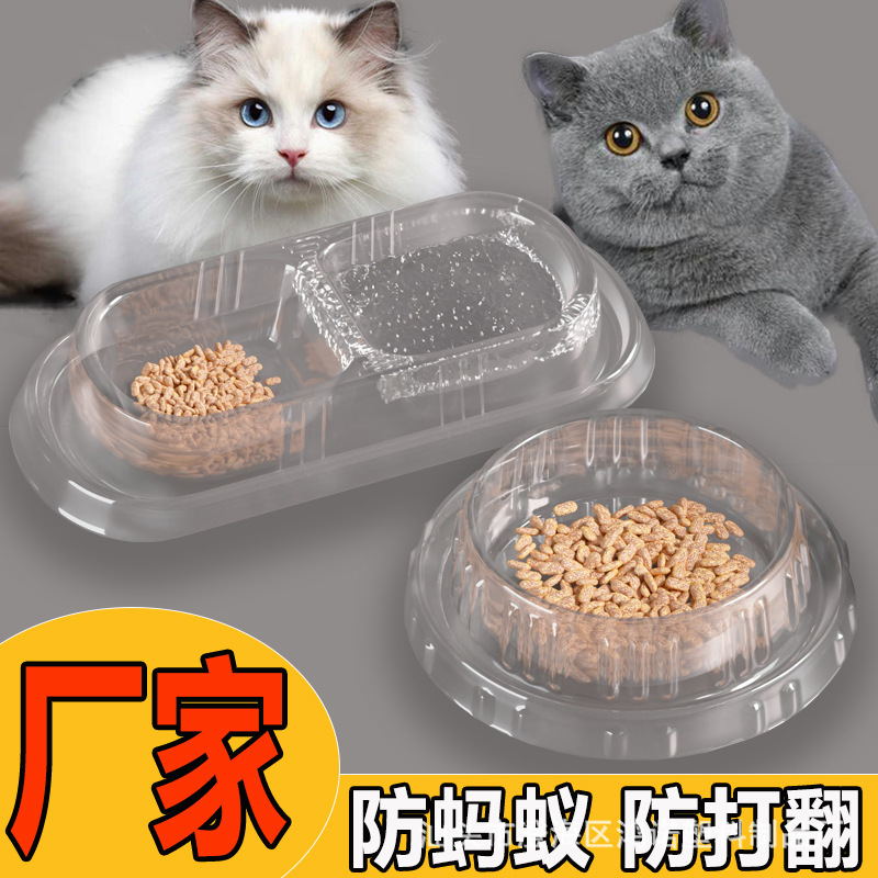 Lazy Cat Bowl Two-in-One Disposable Outdoor Stray Cat Feeding Box Cat Rice Bowl Drinking Water Anti-Ant Anti-Tipped
