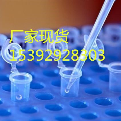 噻唑橙 :107091-89-4荧光染料 DNA染色