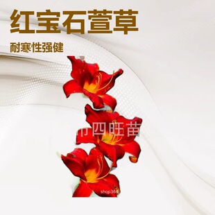 2026�����|����������� �t��ʯ��� �޸����ܴ���ݮa�ع���