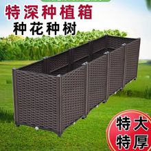 �Nֲ����픷N�ˌ������̨ͥԺ�����ش�̖�������ϼӌ��Nֲ��